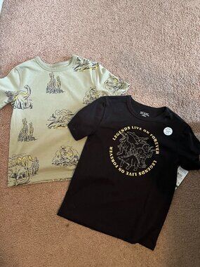 365 Kids T Shirts with Dinosaurs NWT Set of 2